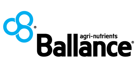 Loadsense Ballance Loader scales forklift scales